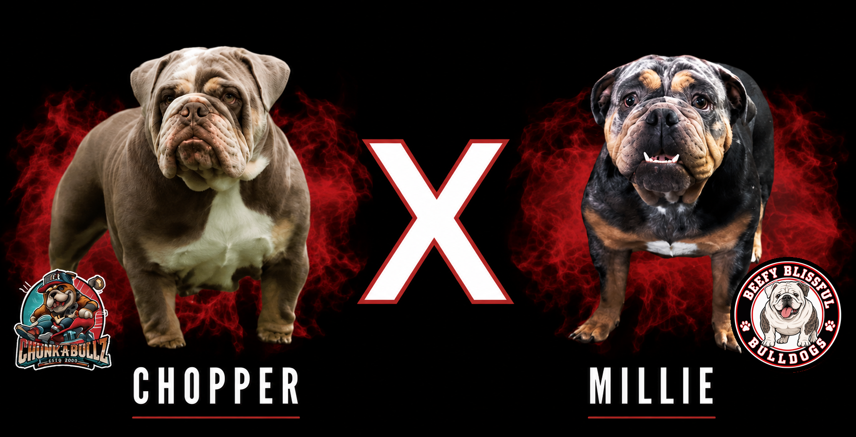 Chopper_Millie_FINAL Mating graphic featuring Chopper and Millie