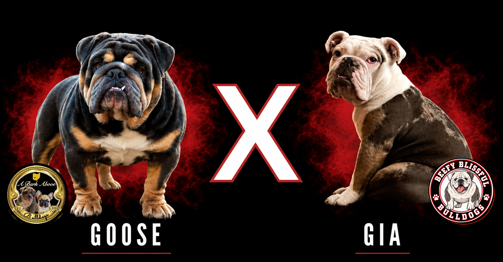Goose_Gia_FINAL Mating graphic featuring Goose and Gia